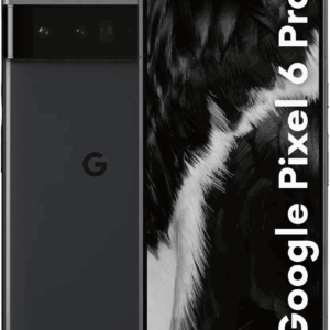 Google Pixel 6 Pro Reparatur